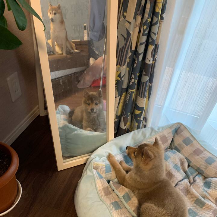 F9be0f6f 6216 45ca ba42 788062791d38 1617400509995