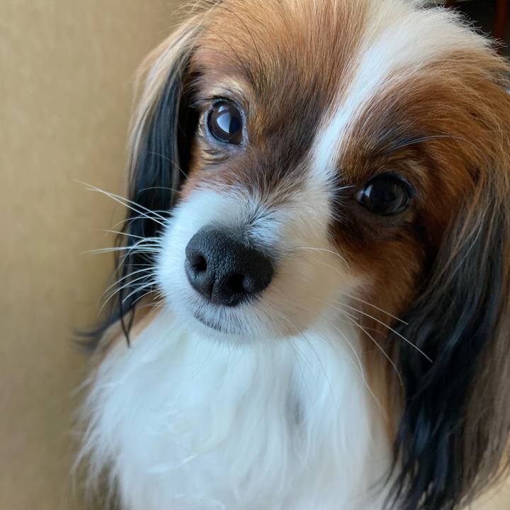 F9be48bd 517d 48ed a004 28c9efe55f12 1654763330697