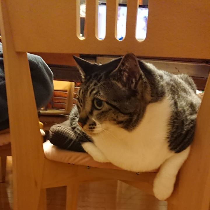 F9be88eb 6282 4b2b ab54 3dc7c8066d85 1524225809775