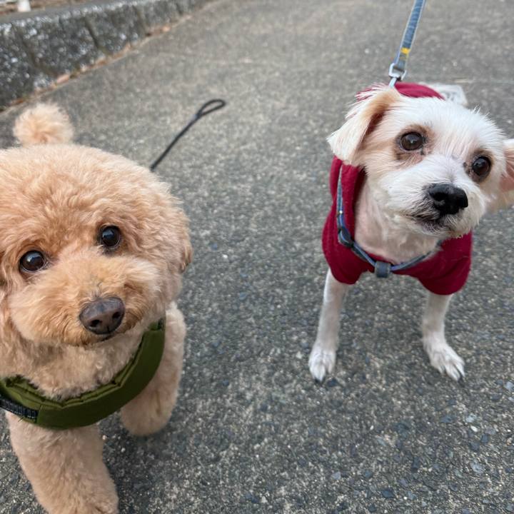 F9be9a89 2e23 414b a101 acff33158872 1763457019113