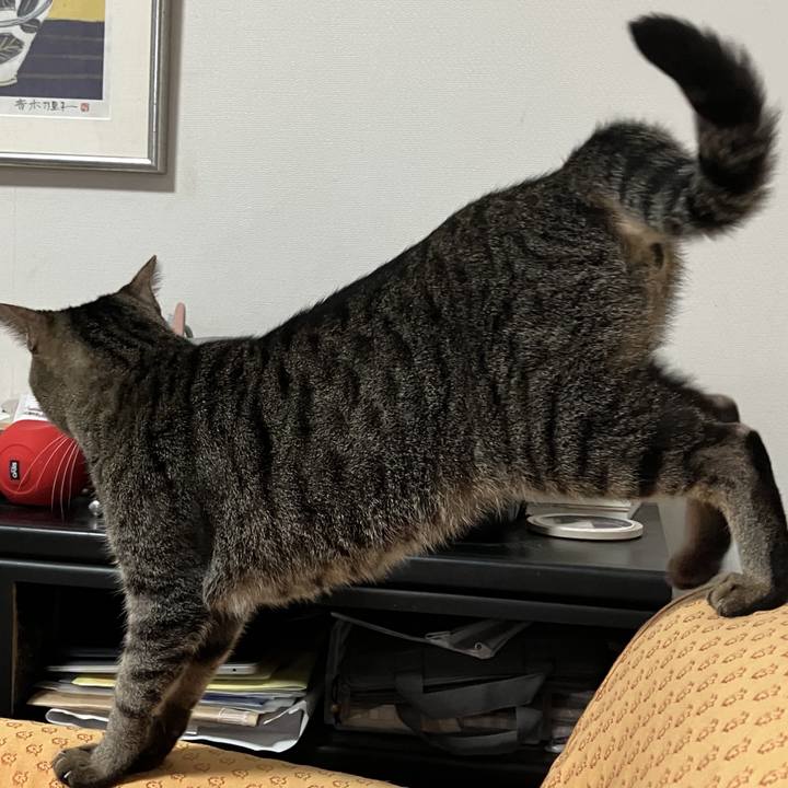 F9be9fb4 9b86 4515 ab49 dbcbe9c71c23 1760573216945