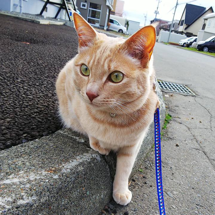 F9bec69a 7326 42f6 9123 f3a70e9756ef 1587971038363