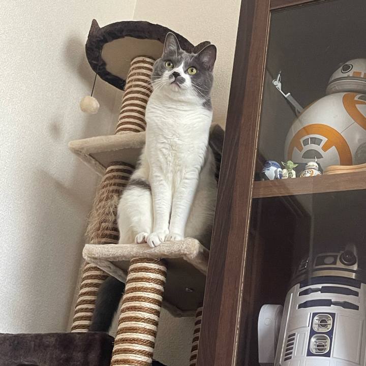 F9bed50d d4fd 4ae4 b4e7 a95498fd0e2a 1693715325120