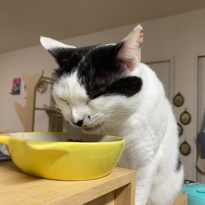 F9bf1484 92da 4fec 9645 e7a5bf23f427 1764015191894