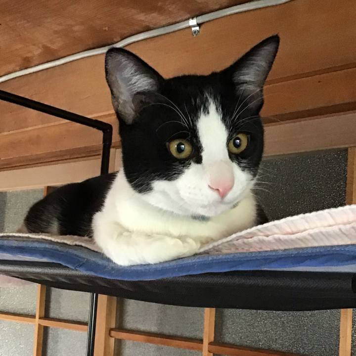 F9bf1a0d f001 43ac ad92 793160e702d2 1635492702858