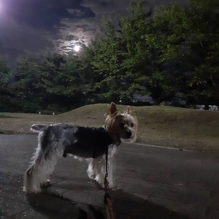 F9bf275f 58ef 4478 bb52 43936f5cb988 1662808369171