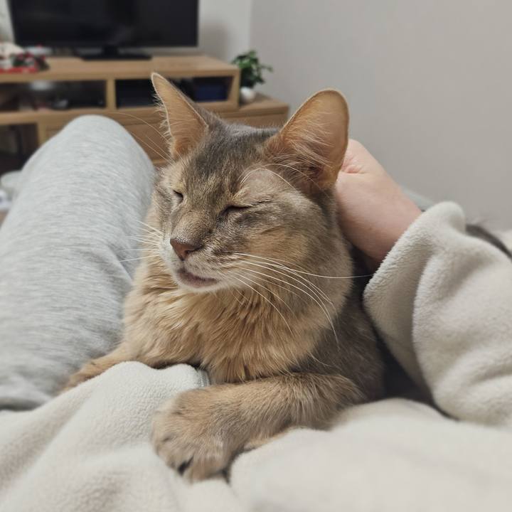 F9bf3242 0606 4ebf b024 e7210e1fe4de 1768110314415