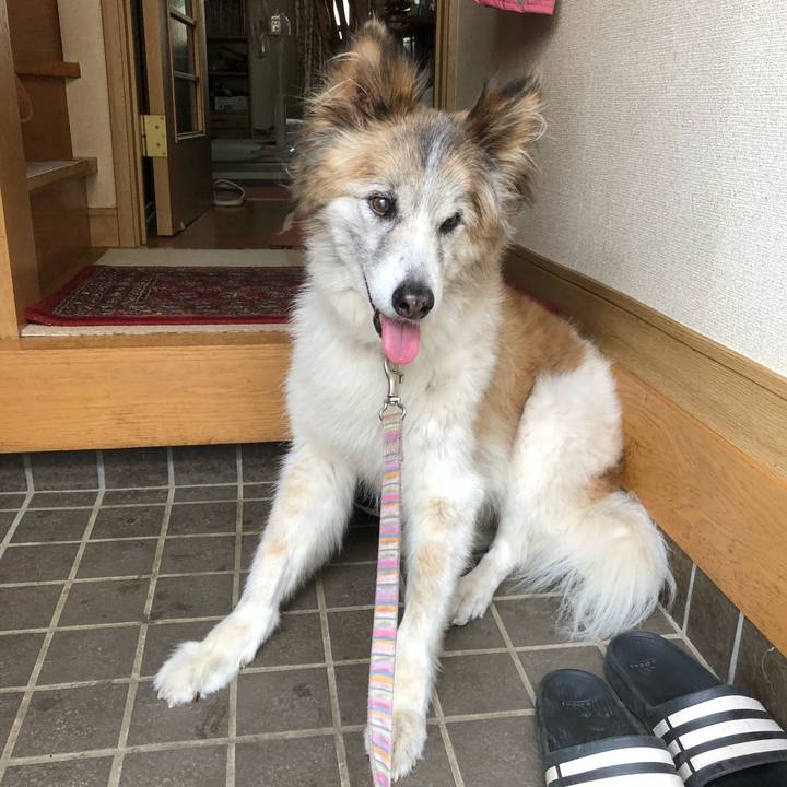 F9bf5824 2f7a 4919 ac33 bb016afb722c 1532479872858