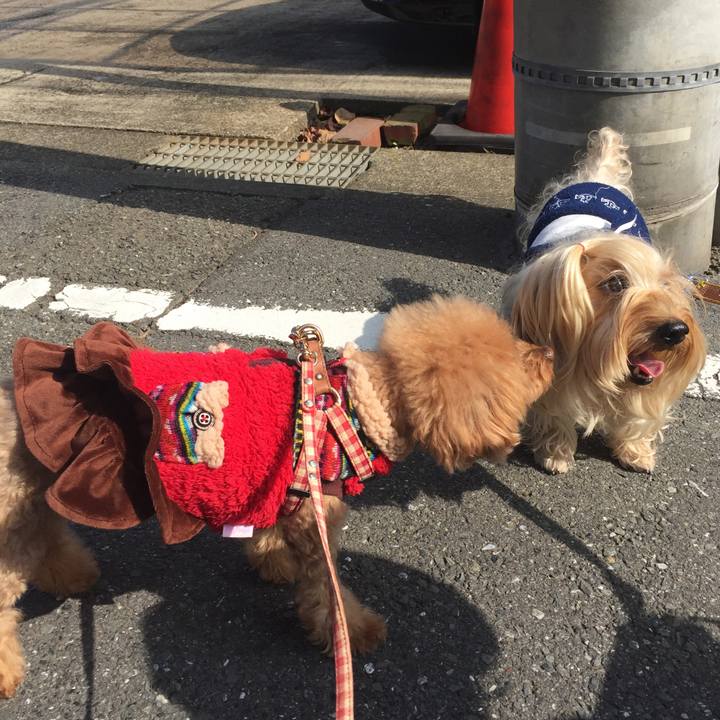 F9bfd624 9dee 4bad b4b7 a31f63313cb6 1510359739788