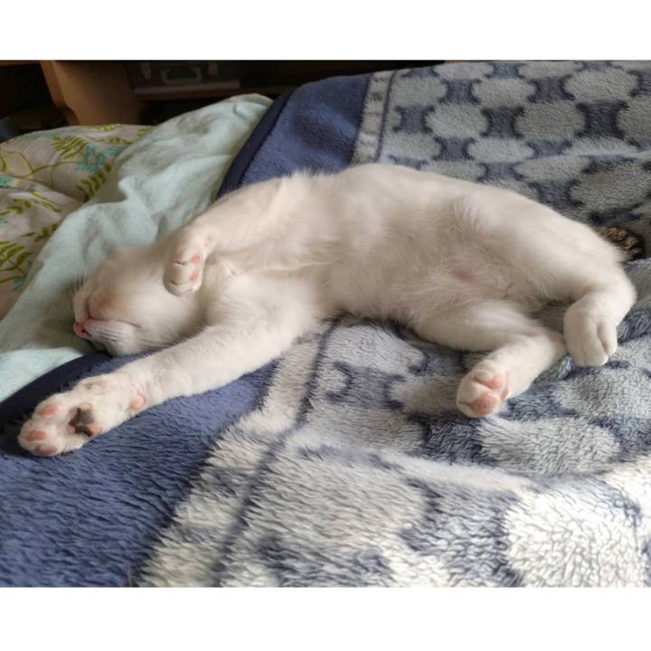 F9c01ff8 b00f 4bfb 8dcd 27e0c0824058 1716021909126