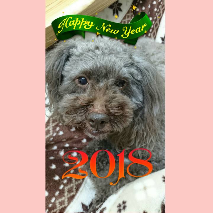 F9c05c89 01da 41c6 b6ca 6bb7d01c932f 1514793464914