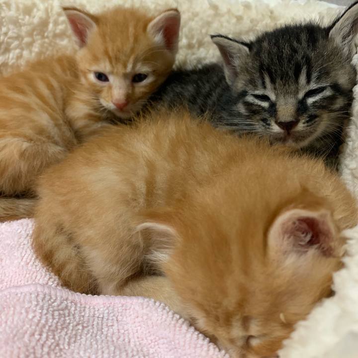 F9c0bb2a 0347 4a98 9138 722c4550b9df 1570115153813