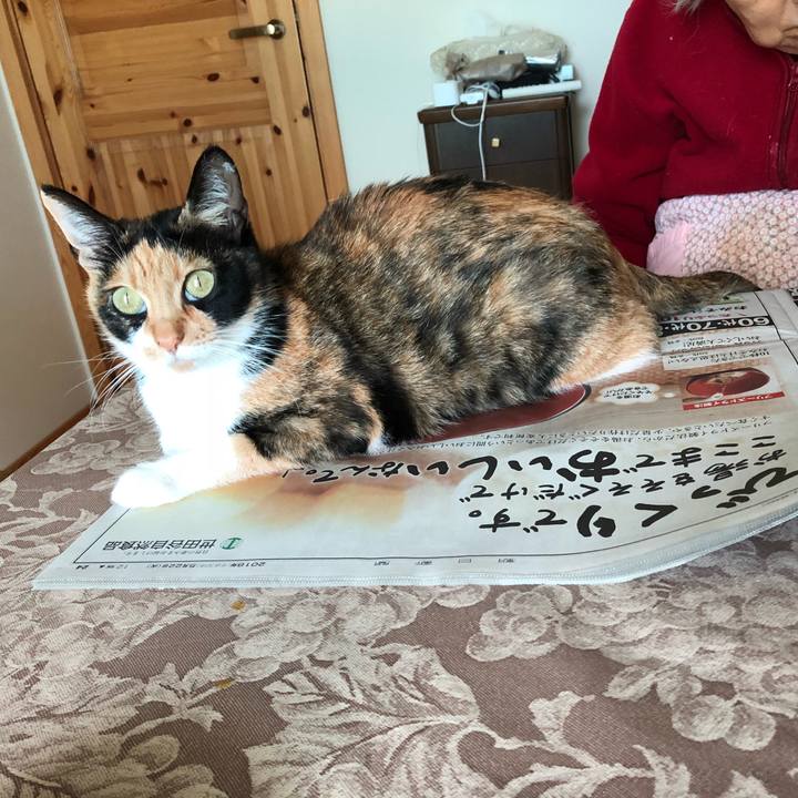 F9c0fa41 c7db 498b a114 a815804adfe7 1526954521623