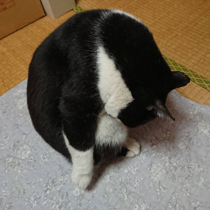 F9c10e18 4189 4dae 8f9d 140e2e496e1a 1643698049074