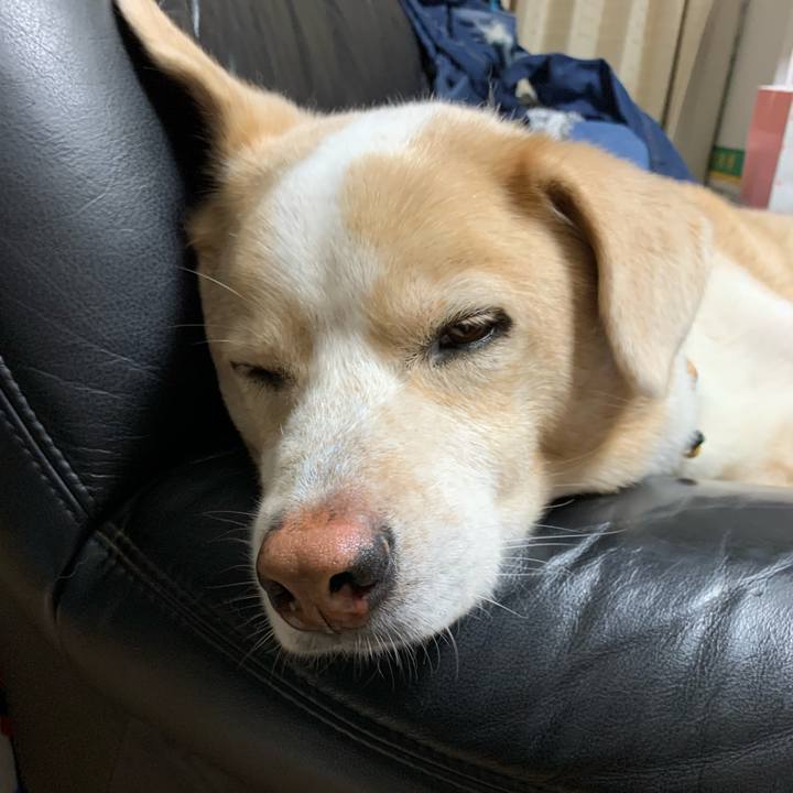 F9c14e77 0678 4b65 a9f2 2344e84ad02e 1594565914320