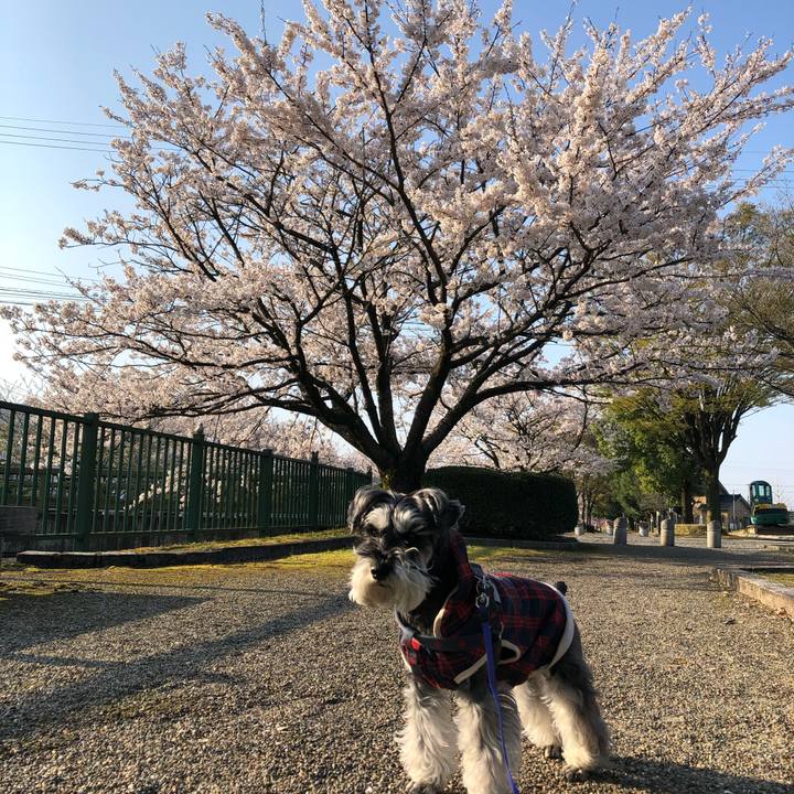 F9c1a378 4b16 482b b699 c1781df2d1ea 1681011584087