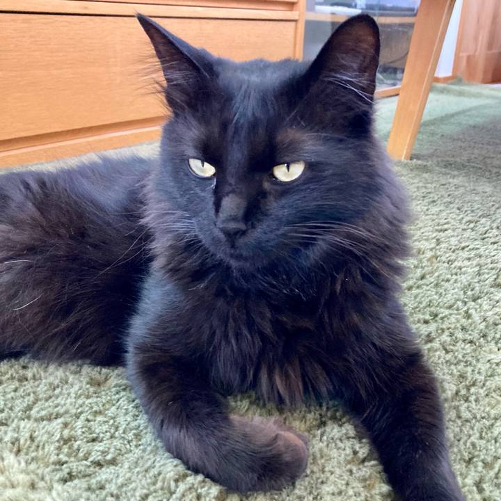 F9c1b7d4 11d9 40ee 92ad 5d1b9c37d174 1747899642150