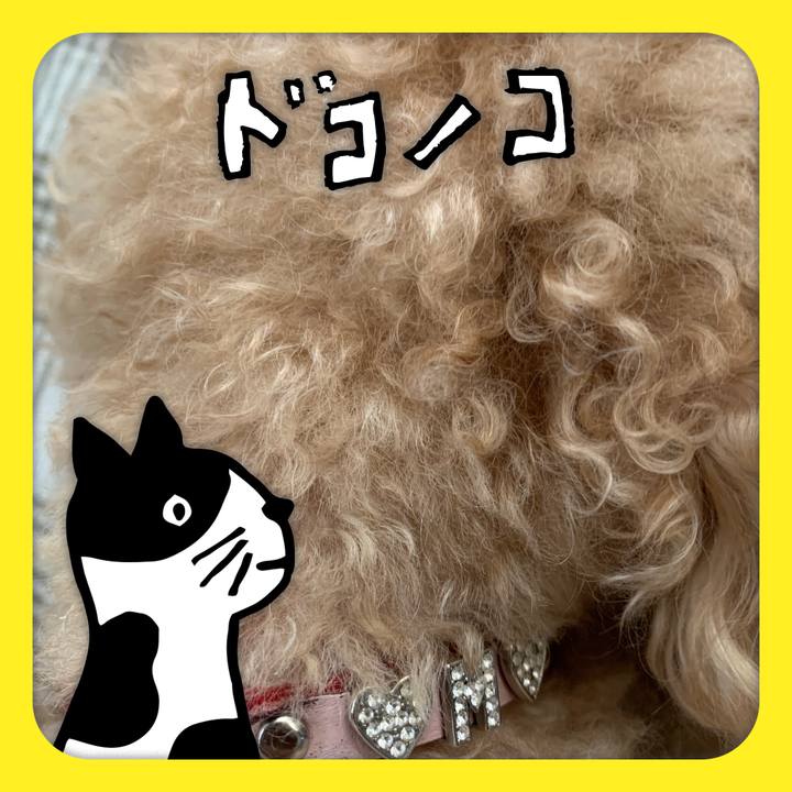 F9c1c08a d578 47ec 9869 8d059ba65f13 1622872540685