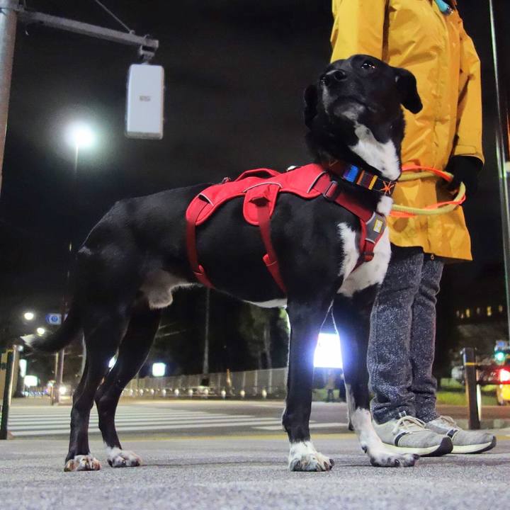 F9c1d1ab a94c 42c7 8313 1aba5275ef91 1584269366604