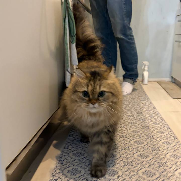 F9c23903 2d2d 4b2d 95d1 9c1b4446cd68 1766754801634