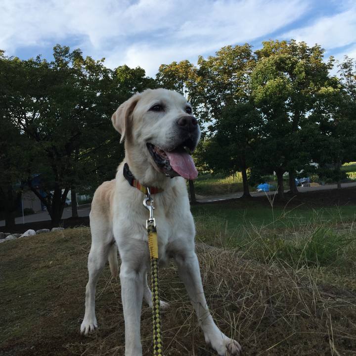 F9c29356 13da 49c3 b6cb 3ed787d73c69 1537345839776