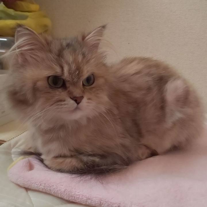 F9c2b356 49a3 486f 85c1 0a6b6647e876 1597026526125