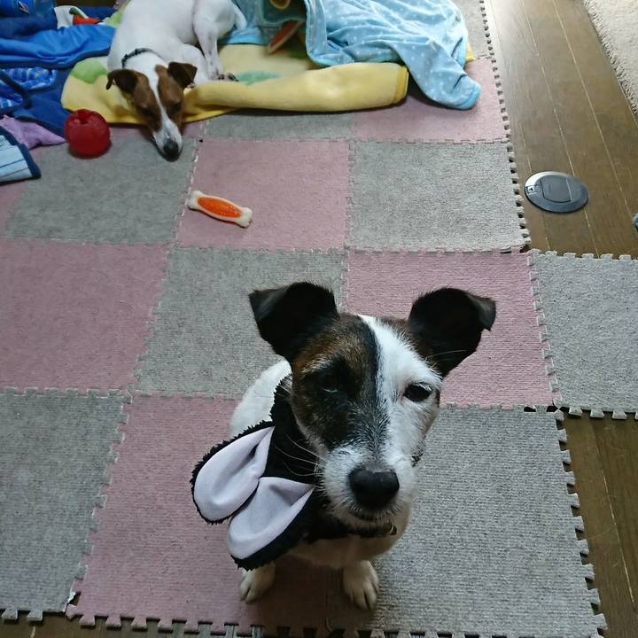 F9c2d6fa f9fb 4e3f a423 cc4a4b2206a0 1532128470236