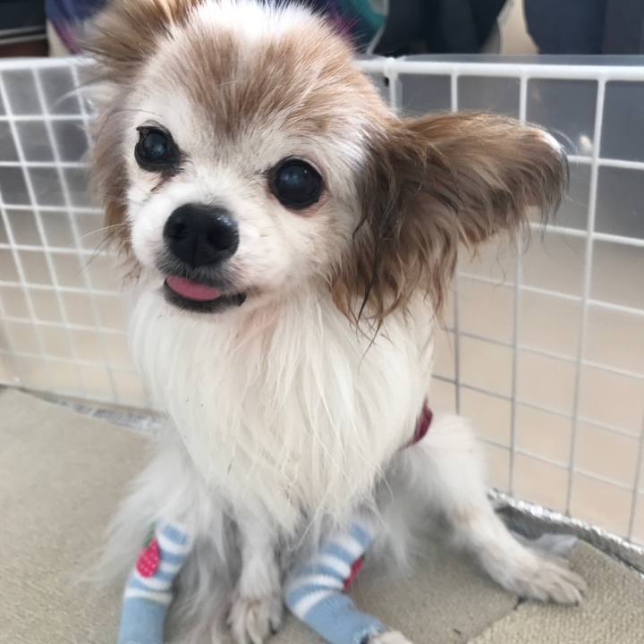 F9c2f782 963a 4130 af22 bd065aee1bf1 1518326263306