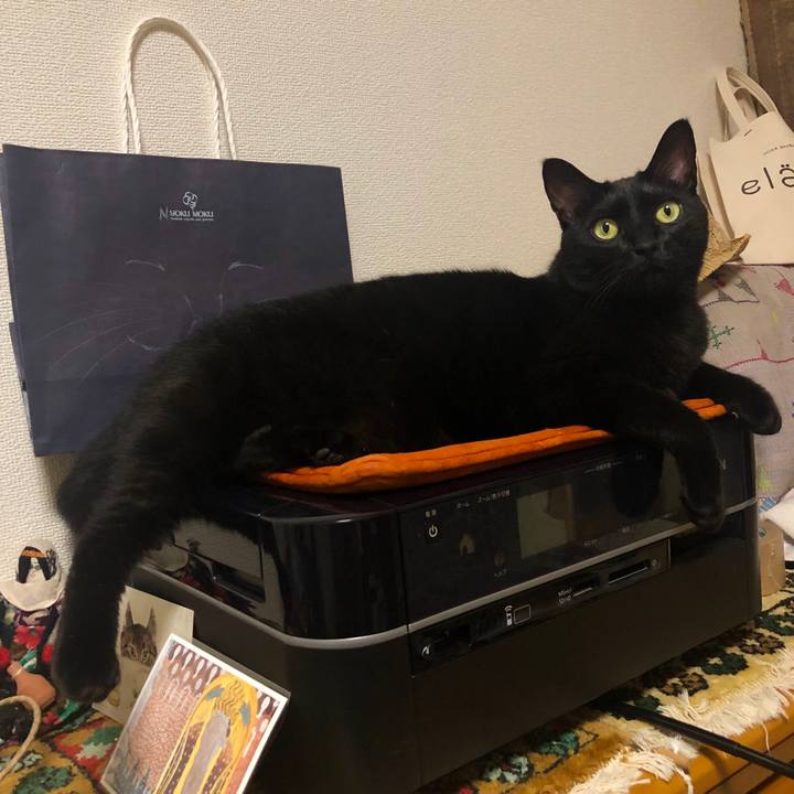 F9c3518f ba83 43d8 a9e4 22fa4079a7e2 1569022808423