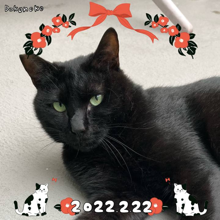 F9c35b5f e835 4f3d b034 3b9b5417cd7e 1645537741934