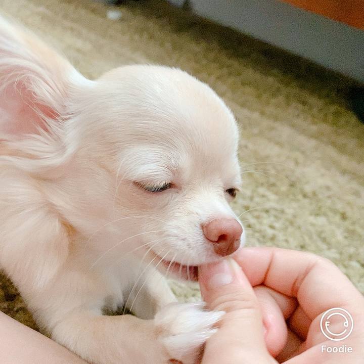 F9c36b9c 95ec 4e77 a05e a7e26581c13e 1597643114986