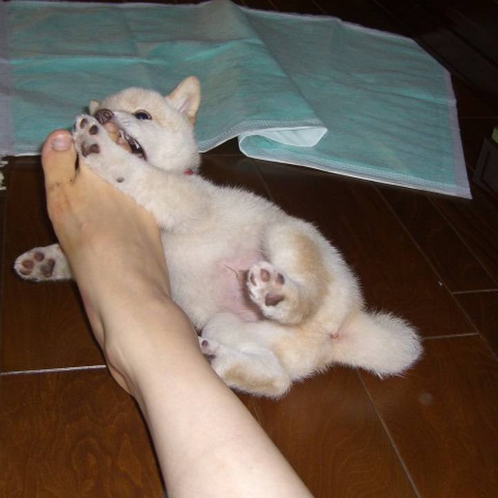 F9c3748a 82a4 4c80 962e d17e8e63e175 1646582270996