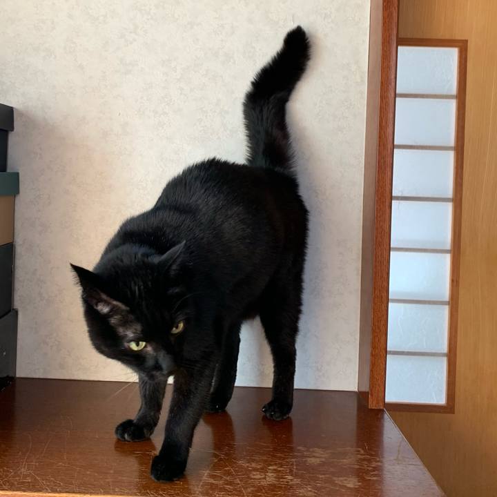 F9c37d8e 6522 4563 9aa3 3101221690d5 1586826998982