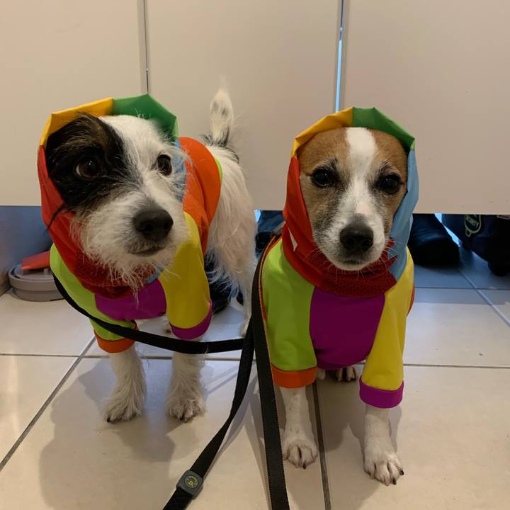 F9c38da5 4754 4005 a2be 68c4c842f92b 1607133612901