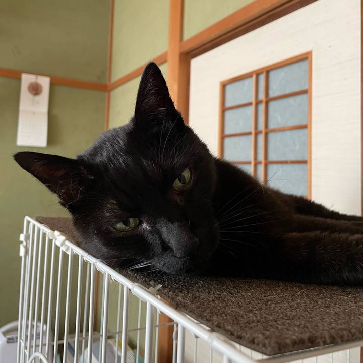 F9c3a58c ec14 4775 a987 e8f782f996e7 1661478953532