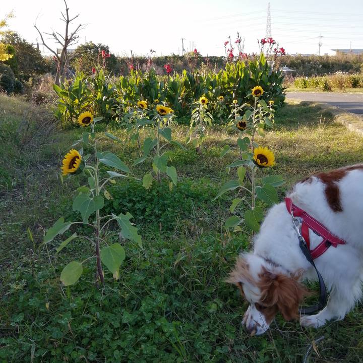 F9c3a86b ac39 4ea7 8a28 1c8ecd2316df 1574326700835