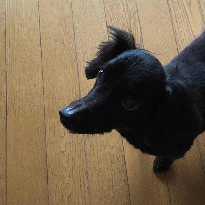 F9c3d03e 205f 4885 ba41 49472824cab0 1539554576554