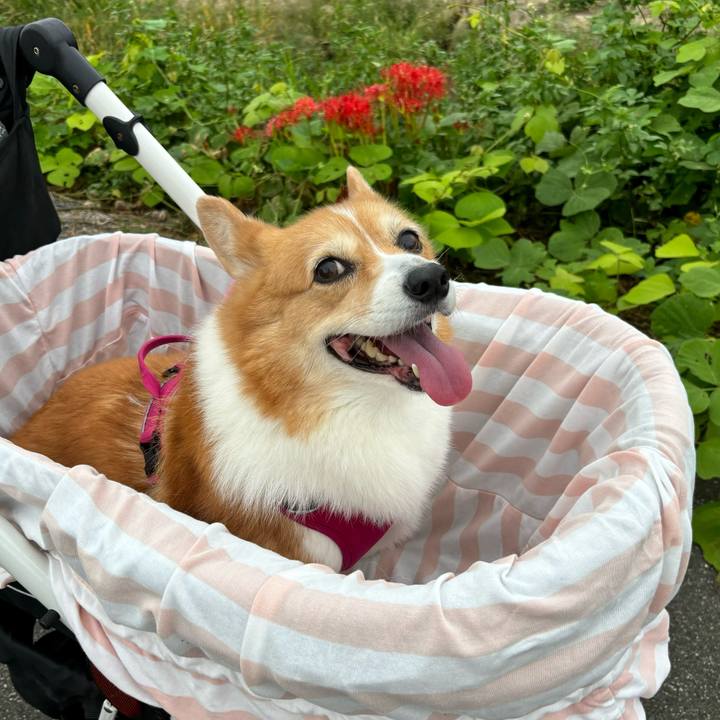 F9c3dce2 3cfd 4b60 a993 16a9d76fa964 1727392648423