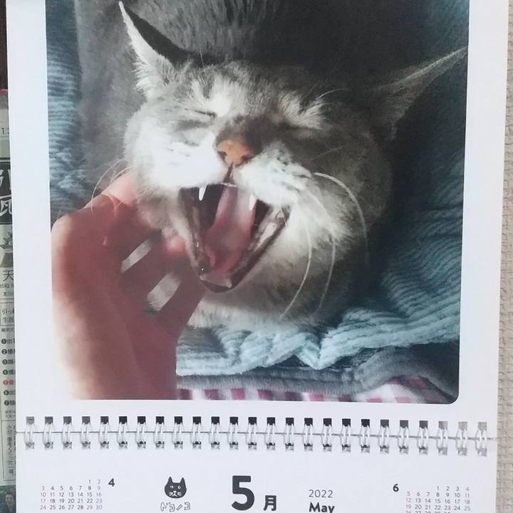 F9c3e99b f8b5 46d5 a0ca d715817b6453 1651363107638