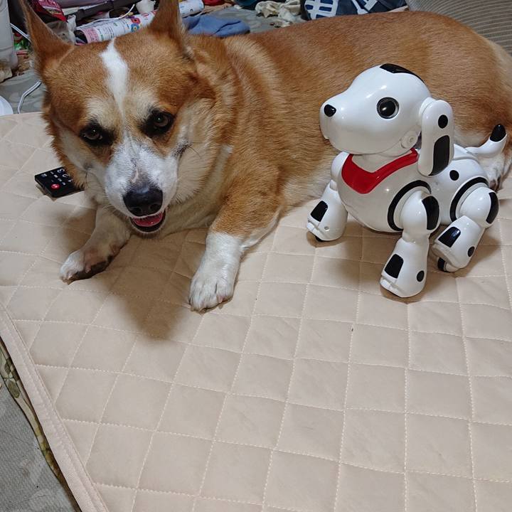 F9c3eba5 4c79 4a2c 8fa5 d4f6e6c27203 1693804769109