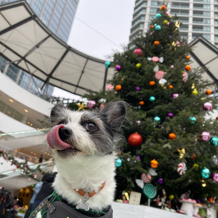 F9c3f30a 7ac4 400a 964f f8ef039bb133 1699768691393