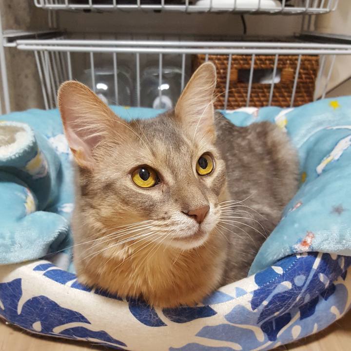 F9c3f5ca ad2c 493a a08e 73c4dbd1d10f 1572352066179