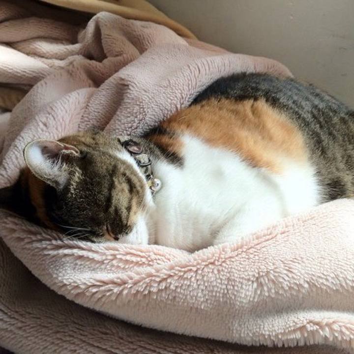 F9c41219 31b1 4ca8 a0a6 982ad3680cfb 1517753144267