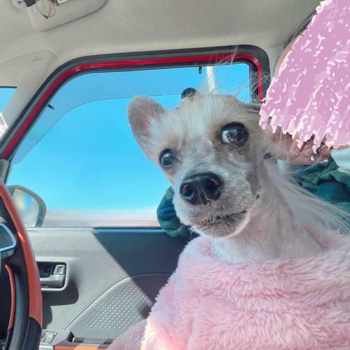 F9c47fb4 edc6 418c 92c4 afa04988afed 1771389903572