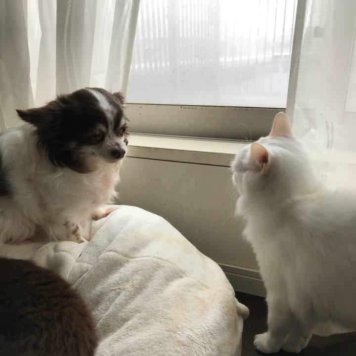 F9c48331 125e 460b ac7f 9a4e17d73f4a 1521600258732