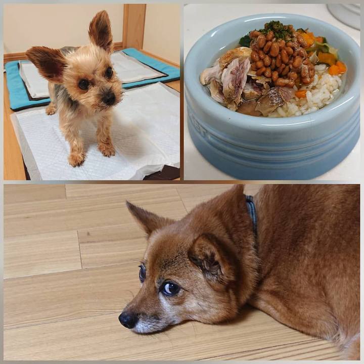 F9c48e9c 33fb 4413 b7f1 c05fbbcc606a 1596971077115