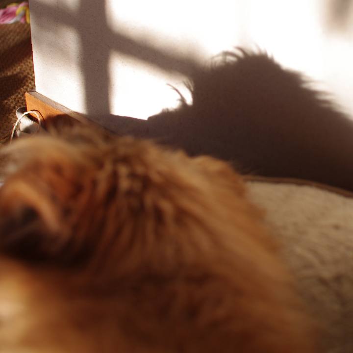 F9c49e71 7e42 4973 b2e7 c49abae86bf5 1608599061002