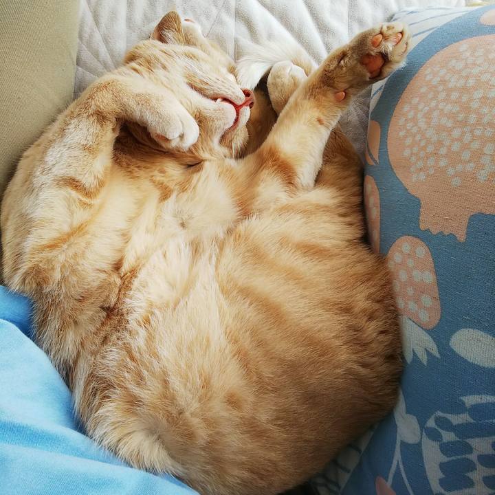 F9c507c1 62cb 4e4d 8382 279ceb3094b2 1664685900438