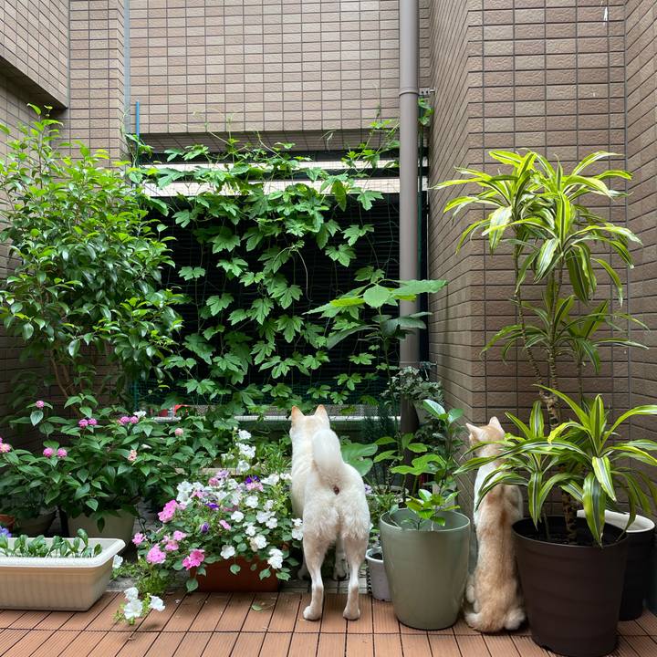 F9c5440a 9177 4d35 9d57 b56d23324ae9 1624781773178