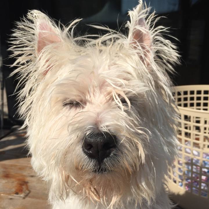 F9c5607a e0f3 4486 bcf0 c2ca4ceb806e 1509937996125